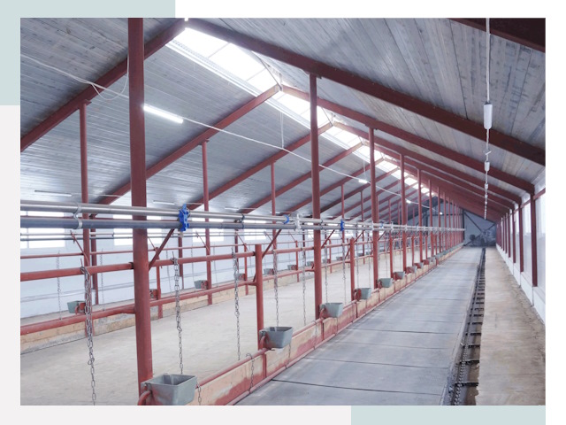 Строительство коровников в Гагарине от 624 руб.