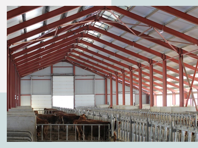 Строительство коровников в Гагарине