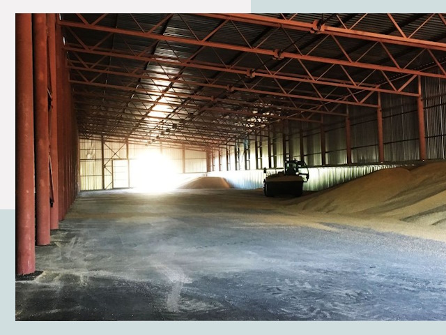 Строительство зернохранилищ в Гагарине