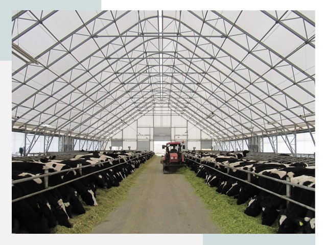 Тентовые коровники в Гагарине от 624 руб. - Надежно и доступно