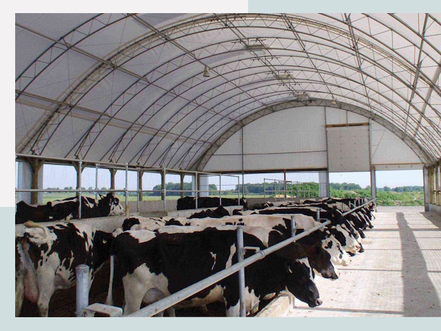 Тентовые коровники в Гагарине